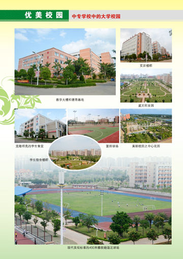 MK在线官网,MK在线官网(中国)2016年招生简章6